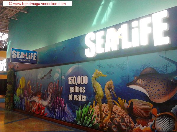 Sea Life Aquarium Concord NC Travel Interview Pic!
